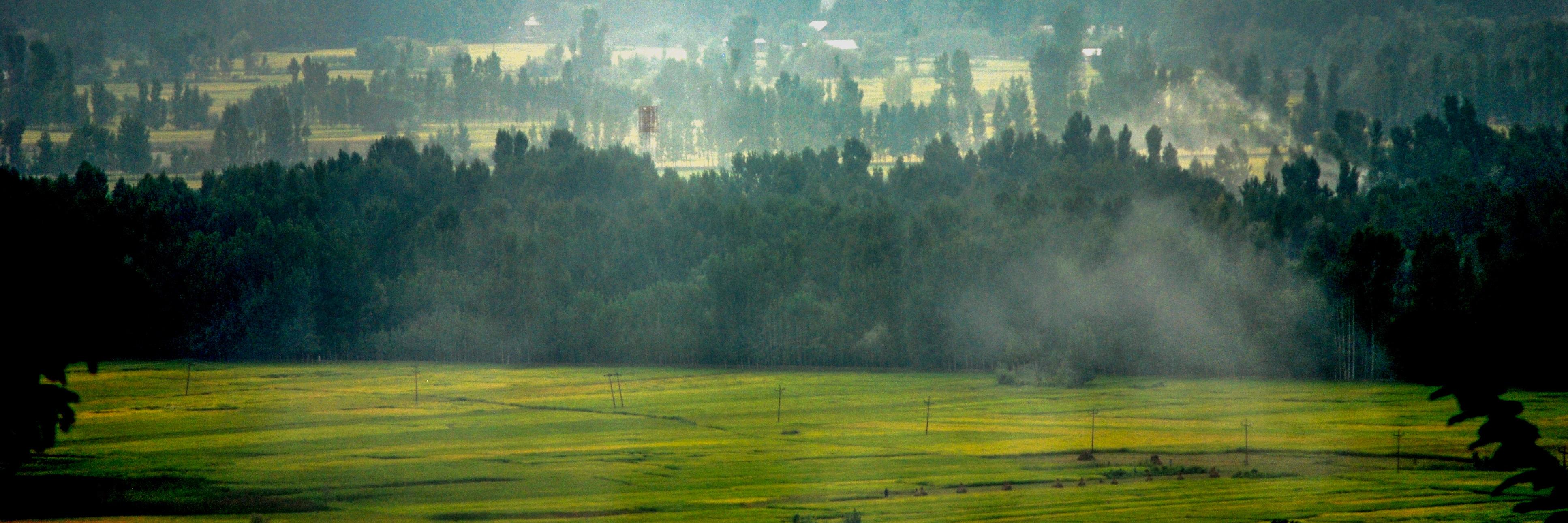 Freedom4Peace_'s profile banner image