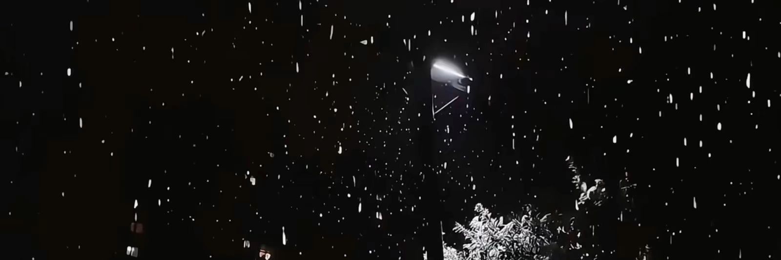 五月的星星 banner