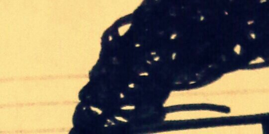 OkkyMonster's profile banner image