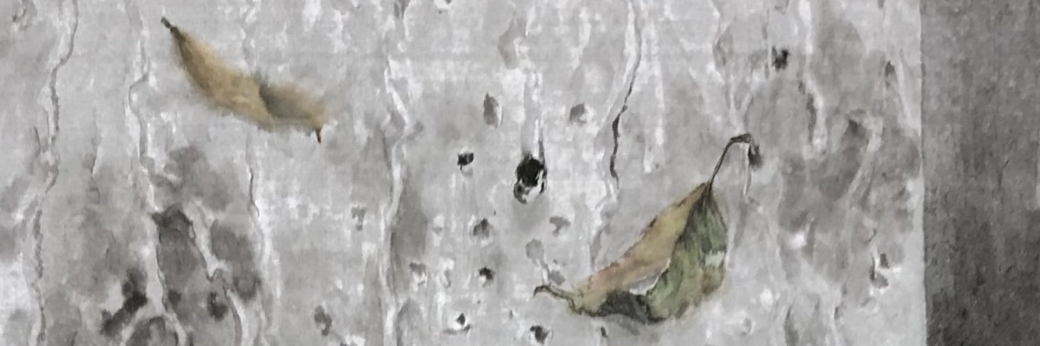 진담's banner