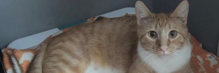 StephenBright;🦻🏻🥄🌊🌈 banner