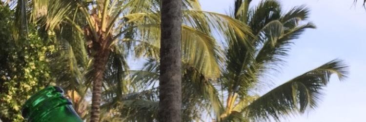 nkirote72's profile banner image