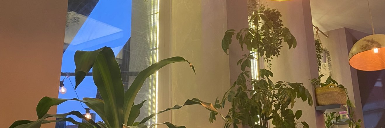 _isabellafaith's profile banner image