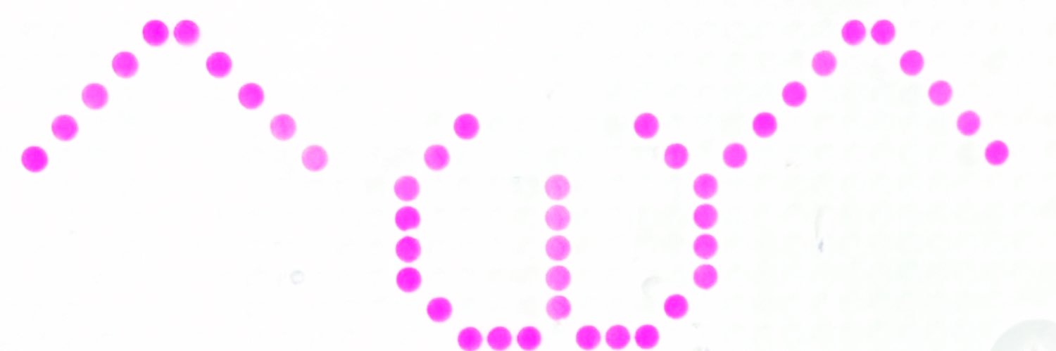 しとねねい banner
