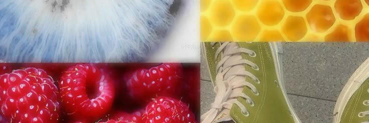coverisn's profile banner image