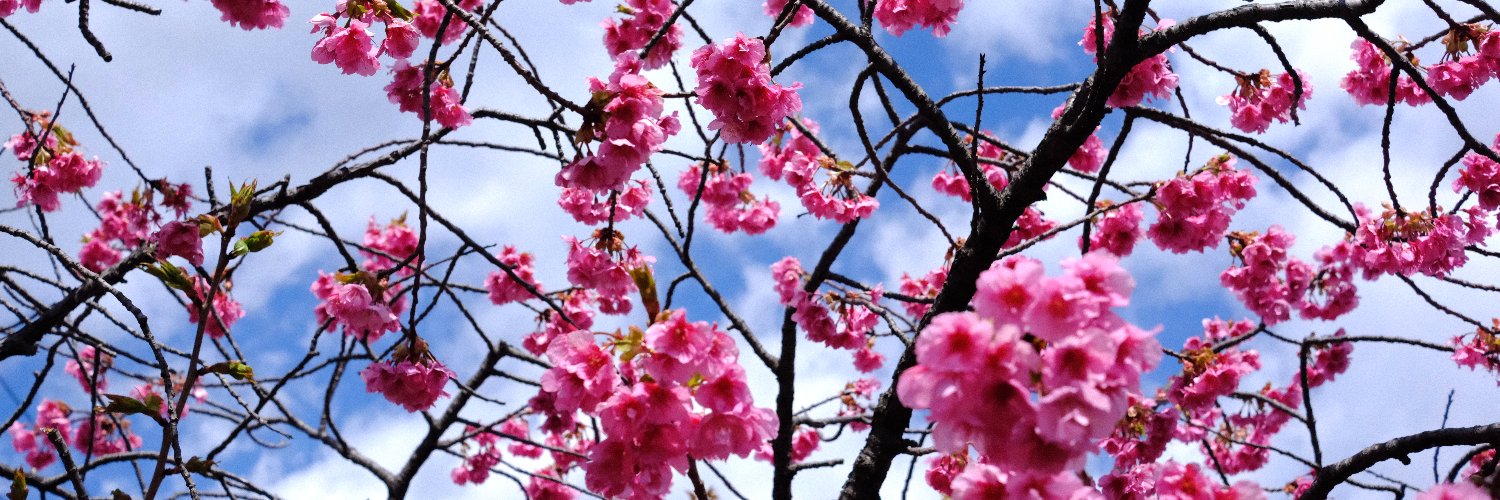 Víctor Hugo Cuevas banner