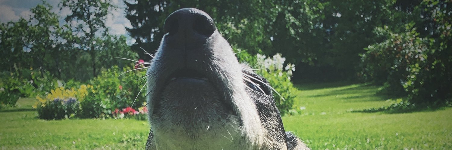 AndaAE's profile banner image