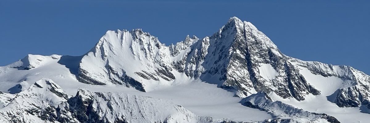 Karl Nehammer banner