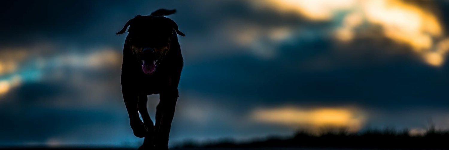 IstsMadars's profile banner image
