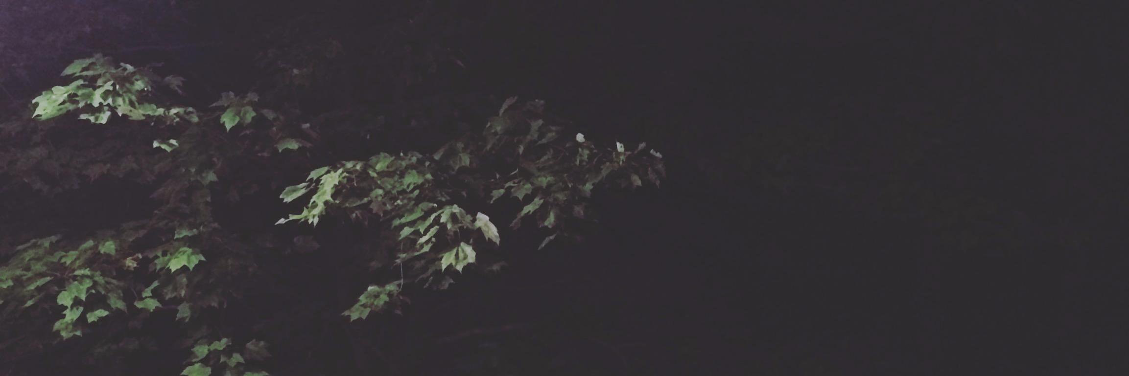 Napwright's profile banner image