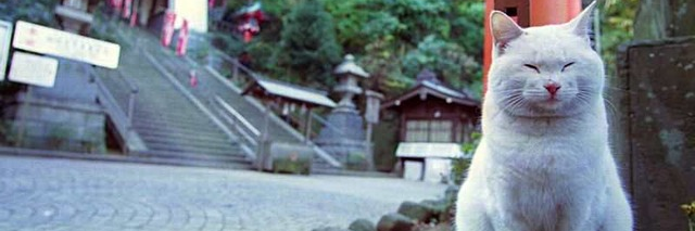月ノ　輪熊 banner