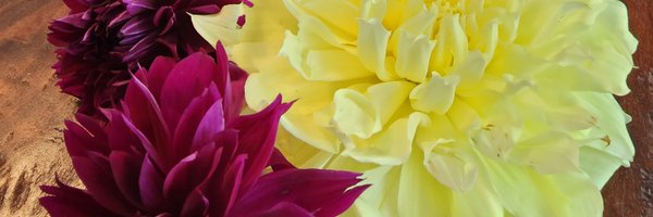 Ireland052022 Profile Banner