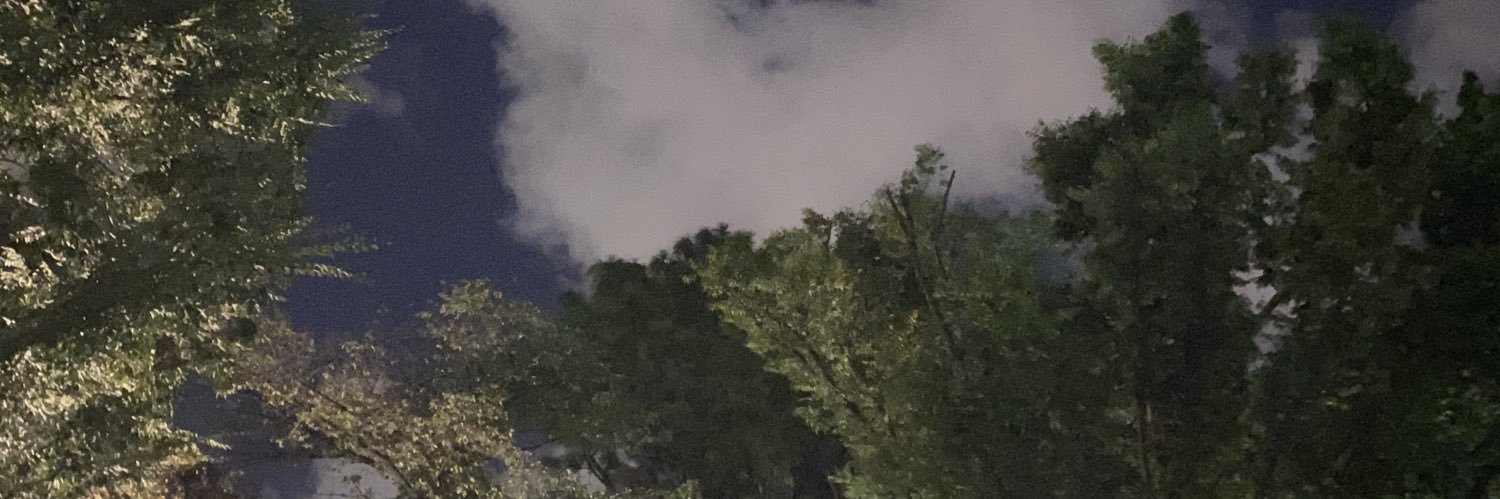heppokoactor's profile banner image