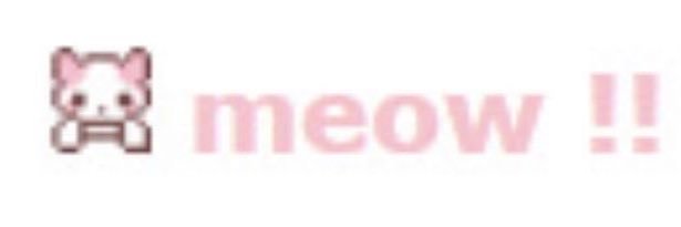 stellapaws's profile banner image
