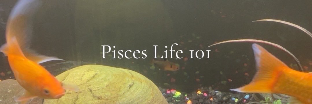 N2Wisdom3's profile banner image