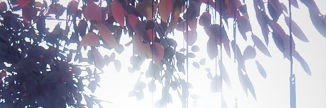 16🕸️ banner