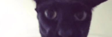 M꩜ssth 2.0 🔞 banner