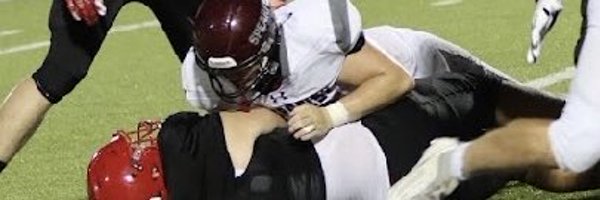 LaytonLoup65 Profile Banner