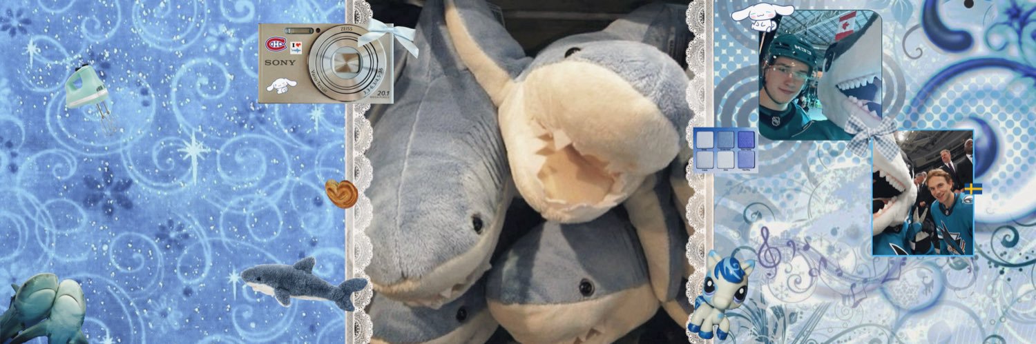 bedsys hair brush banner