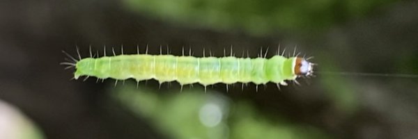 Church2A Profile Banner