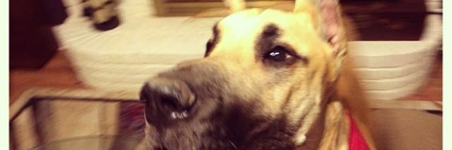 blakeomafer's profile banner image