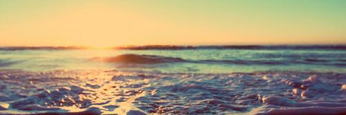OceanTokes's profile banner image