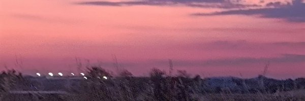 illoserinitros Profile Banner