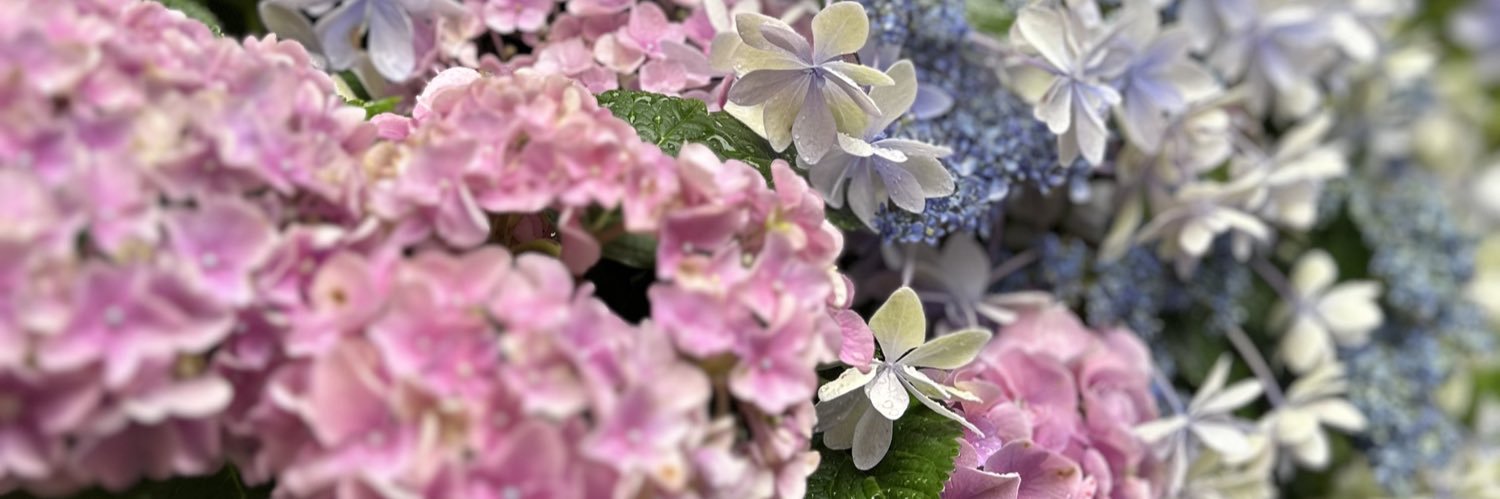 怜 banner