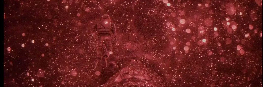jack / will | agnus DEI 🍉 banner