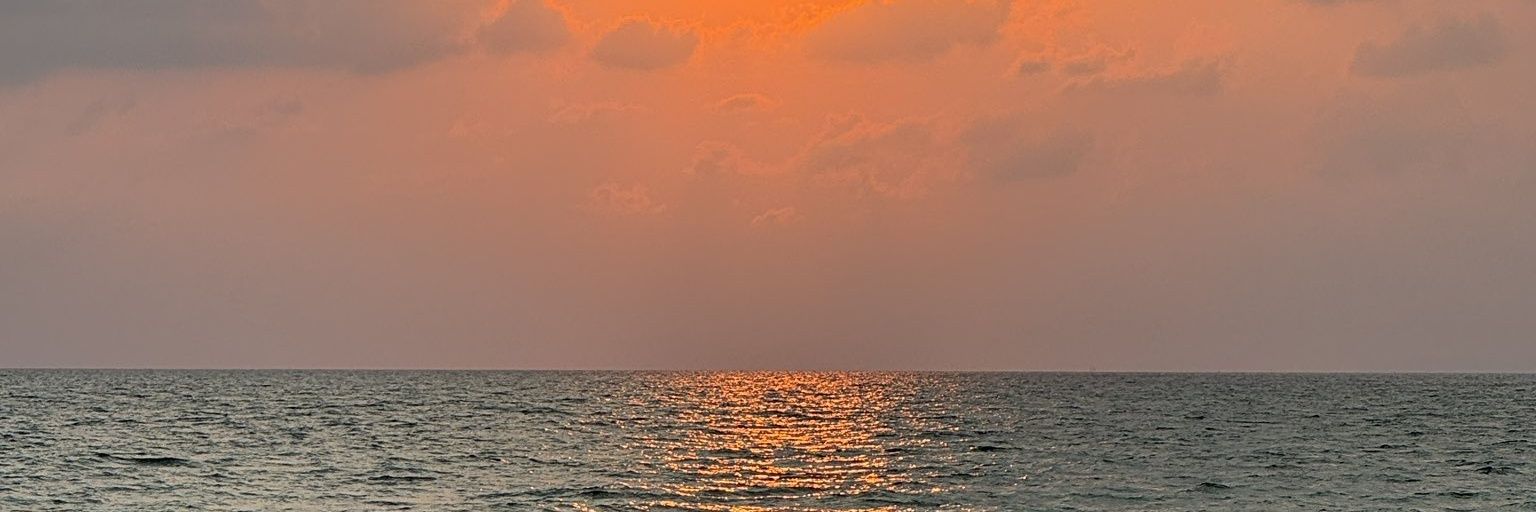 miniko344044's profile banner image