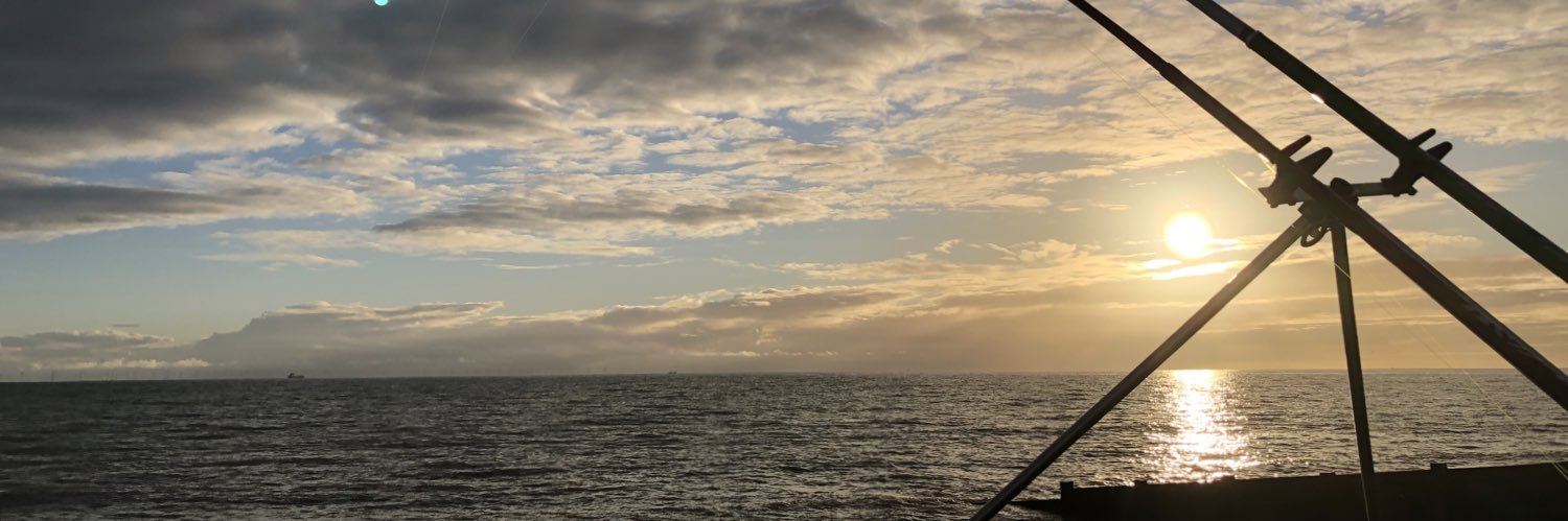 Morgan McCarthy banner