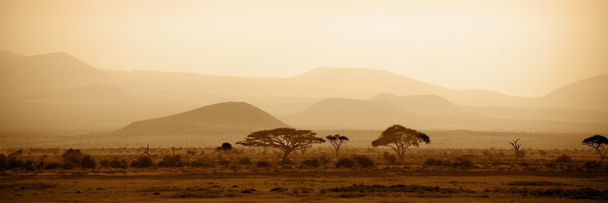 HumanistPoet's profile banner image