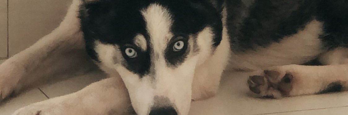 BorelCarol's profile banner image