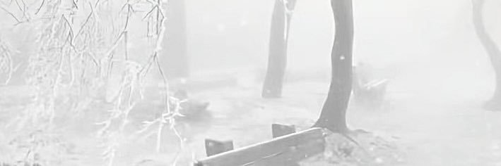 heyu0527's profile banner image