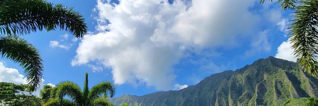 yourbiasishowing's banner