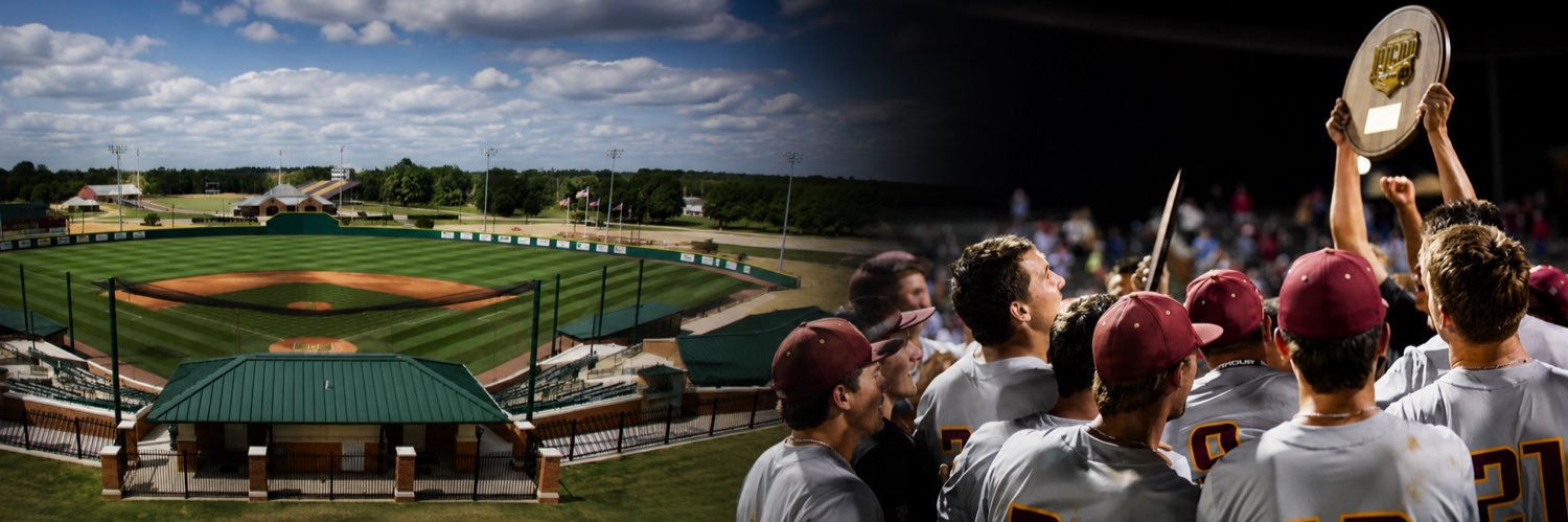 Jones College Baseball Player Development banner