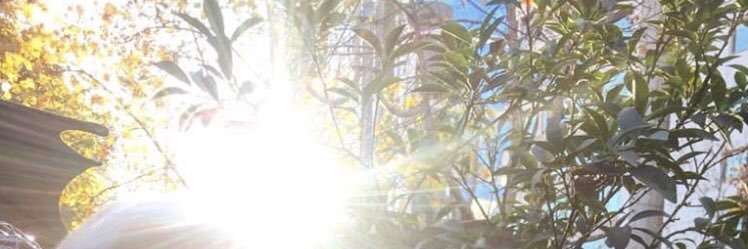 cristobaler's profile banner image