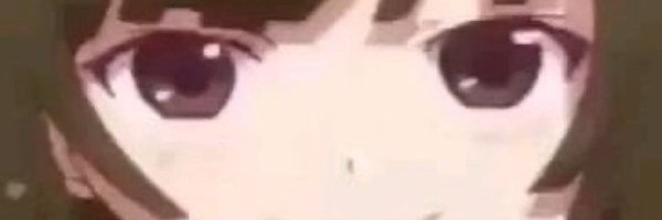 purrbofish Profile Banner