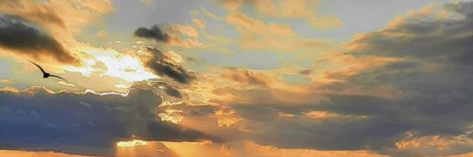 alitaskale_'s profile banner image