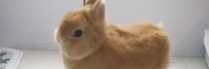 symiousment's profile banner image