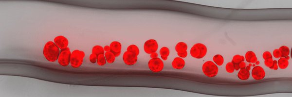 spp2451 Profile Banner