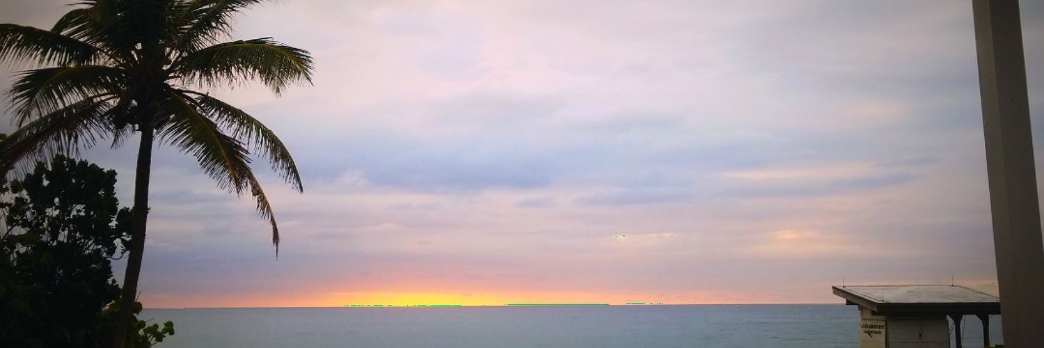 cdudz21's profile banner image