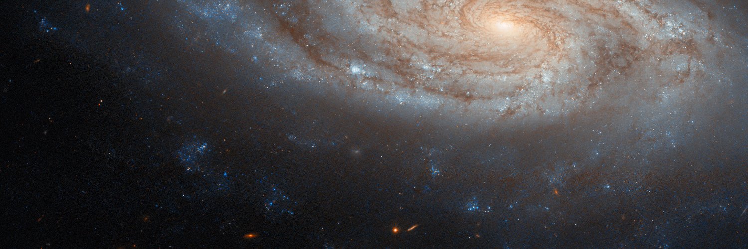 Titus Valerius Siculus banner