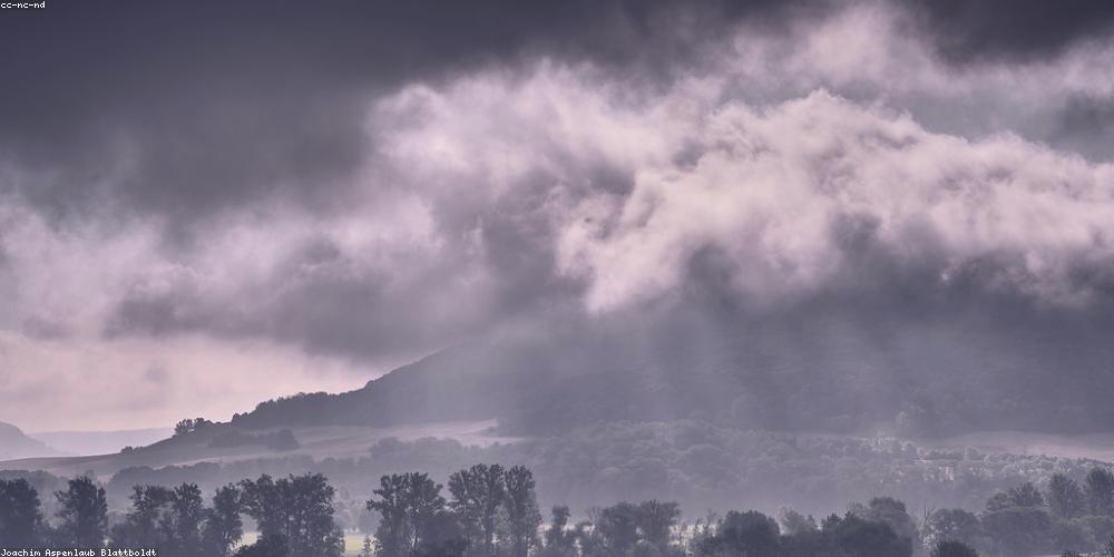 studywine's profile banner image