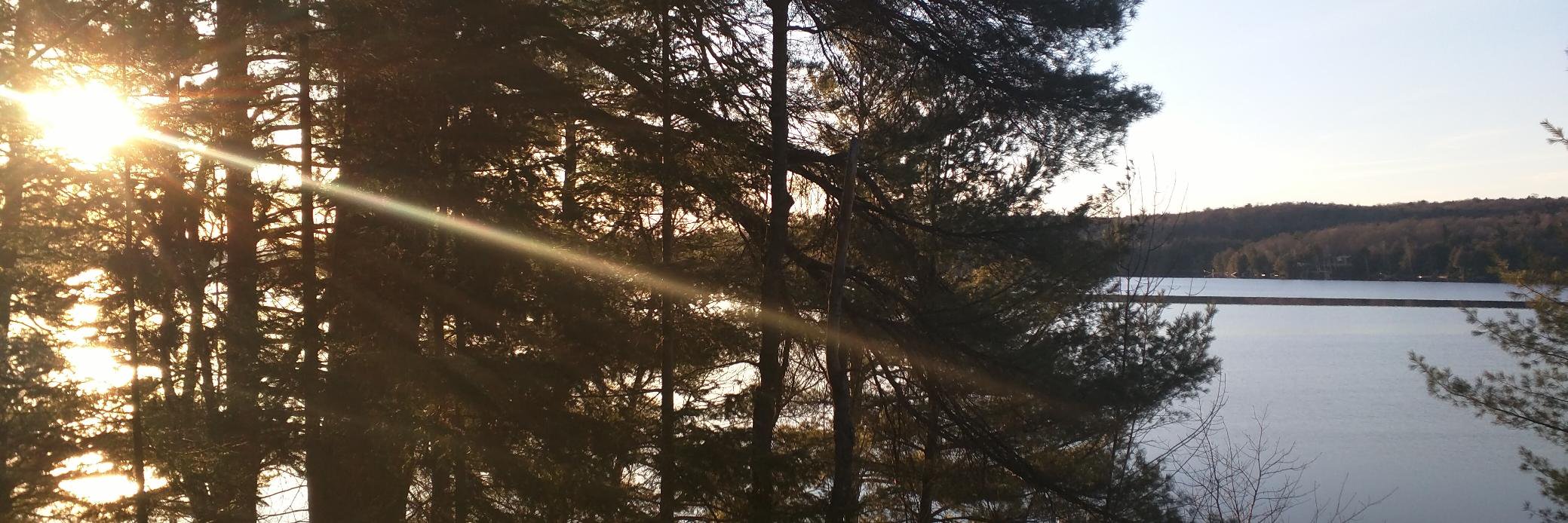 BigBAtkins's profile banner image