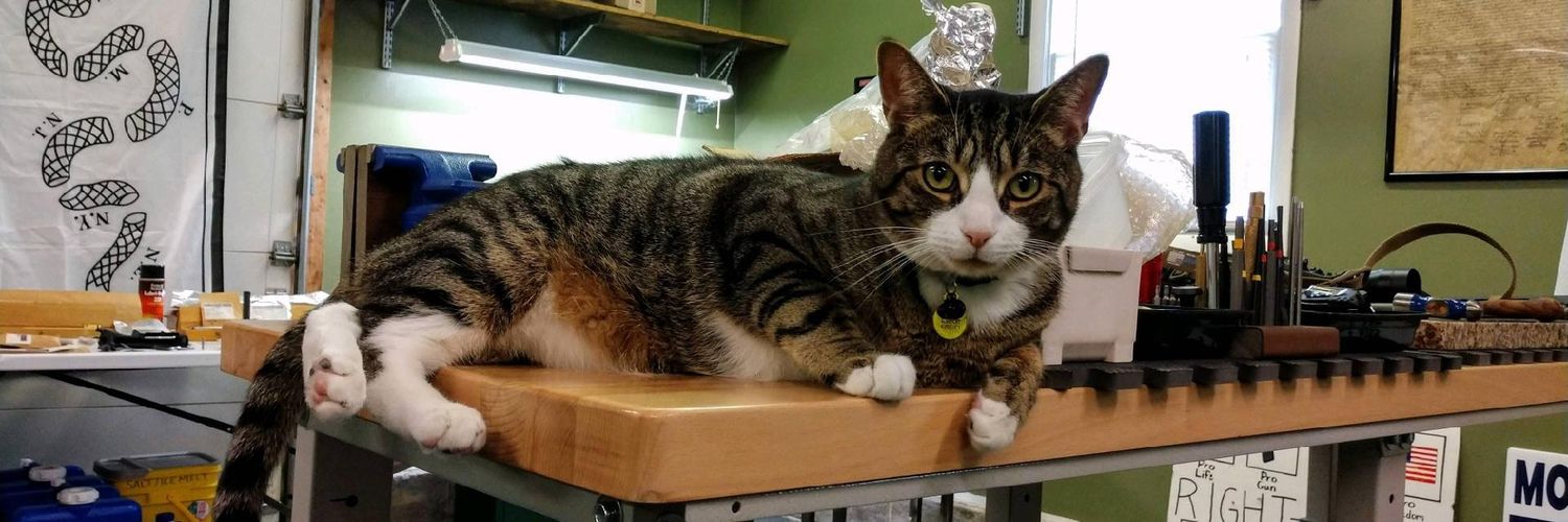 School of the American Rifle banner