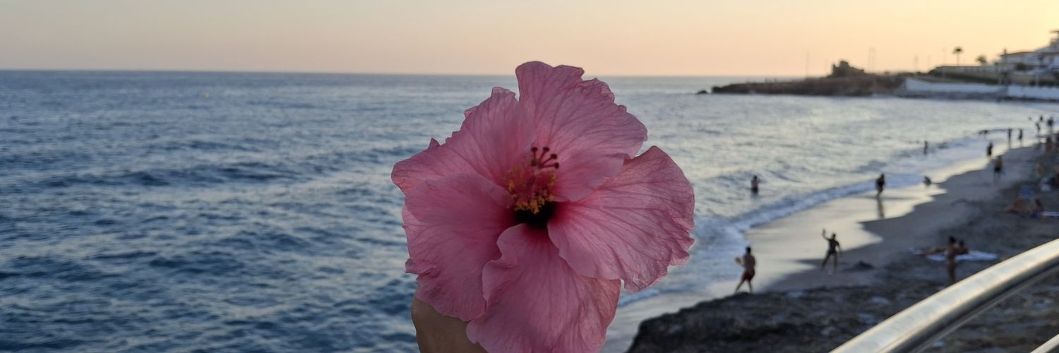 abbiifdezz's profile banner image