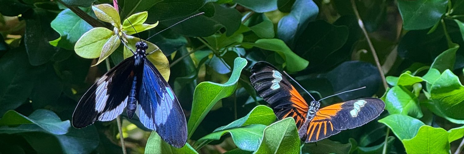 Thebaybree's profile banner image