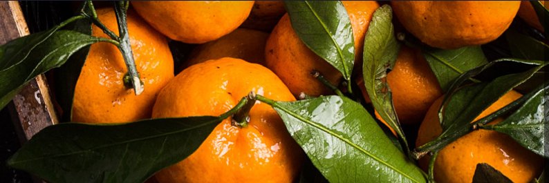 Level343, Team banner