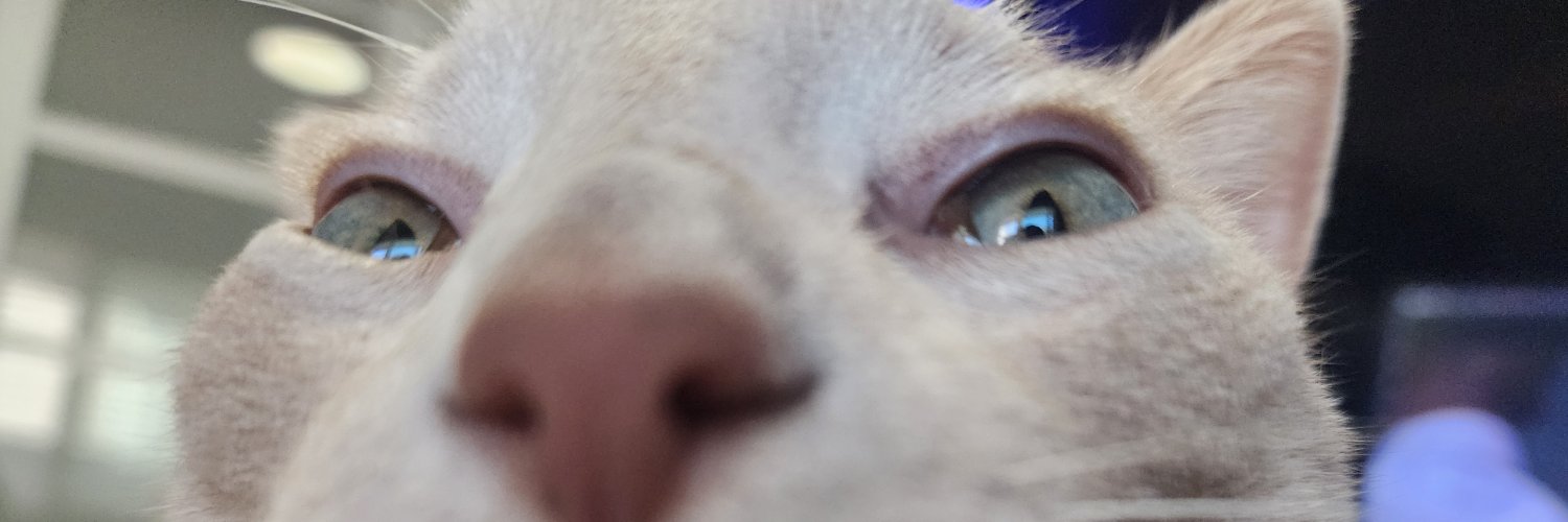 thugginuggs's profile banner image